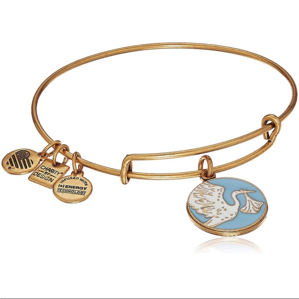 Alex and ani stork boy bracelet
